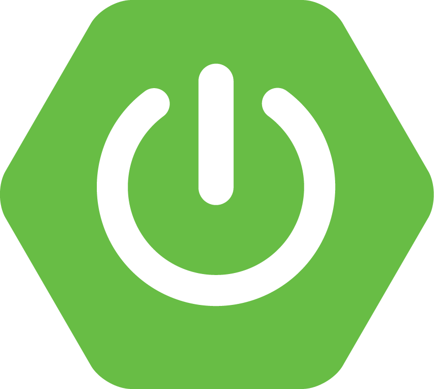 Spring boot icon